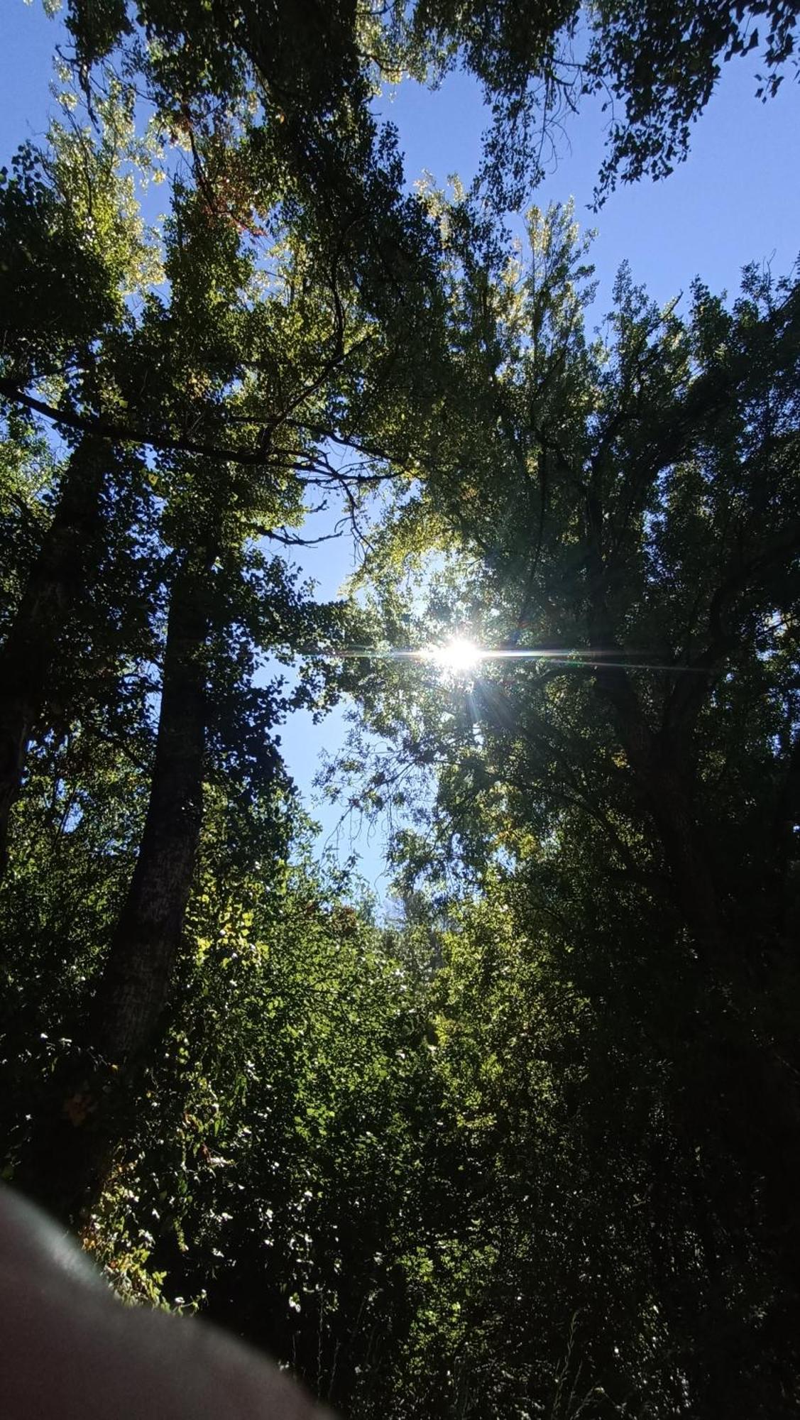 Azahares Apartamento Turistico El Bosque Eksteriør bilde